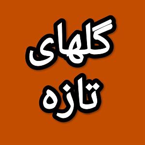 56 برنامه بستنی داغ  توکل در ازدواج گلهای تازه برنامه شماره ۵۶