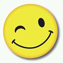 باربیکیو پارتی ٣٢٠