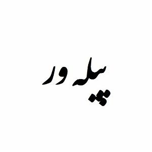 داستان منفی اندیشی من داستان پیله ور (ادامه در بخش توضیحات)