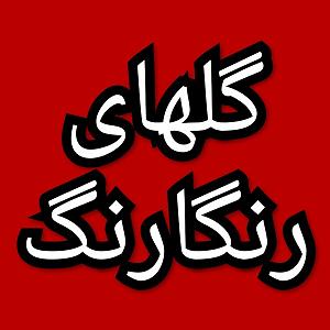 42 برنامه بستنی داغ  ویژگی های مثبت اندیش گلهای رنگارنگ برنامه شماره ۴۲۵