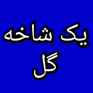 20 داستان یک وهابی  در تقابل اندیشه ها یک شاخه گل برنامه شماره ۲۰