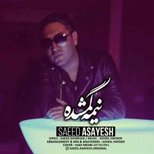 سعید اسایش نیمه گمشده