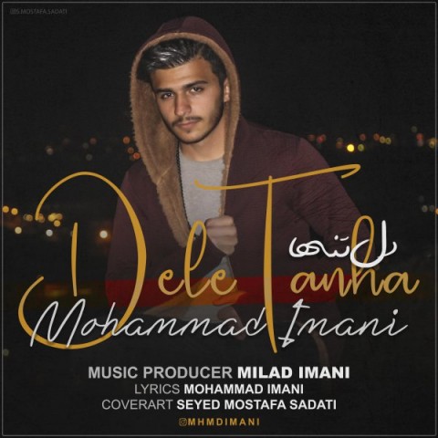 محمد معتمدی  دل تنها دل تنها
