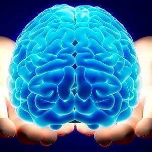 داستان مغز پوک پسته ی اخمو  مغز ؛ داستان شما 9️⃣