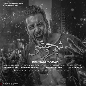 شیر وحشی شهر وحشی