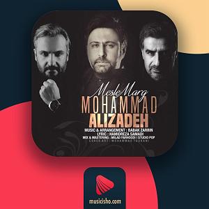 محمد علیزاده - اشتباه مثل مرگ