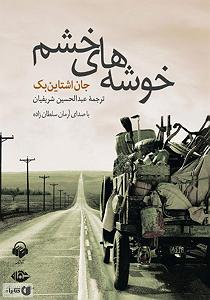 41 بستنی داغ  راه های کنترل خشم کتاب صوتی خوشه های خشم