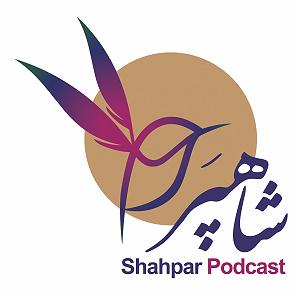 داستان خانم منفی نگر کچل فصل اول  قسمت دوم  پرنده‌نگر