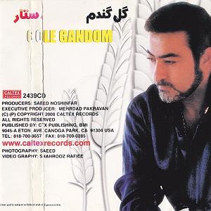 آلبوم دشت جنون بوی نون و گندم