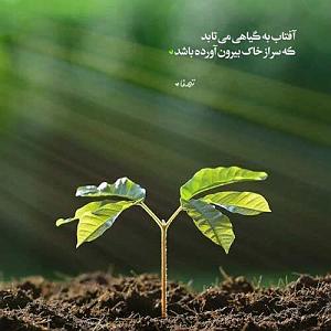 man من دلم تنگه واسه یه دلخوشی کوچیک MP3