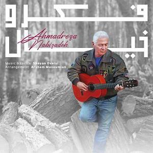 احمدرضا نبی زاده فکر و خیال