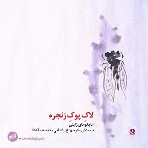 داستان مغز پوک پسته ی اخمو لاک پوک زنجره