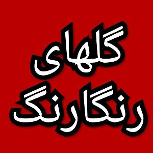 57 برنامه بستنی داغ  توکل در دنیای امروزی گلهای رنگارنگ برنامه شماره ۵۷۹