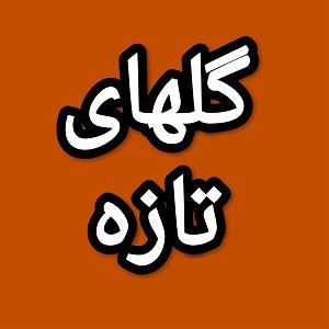 68 برنامه بستنی داغ  معنای توقع گلهای تازه برنامه شماره ۶۸