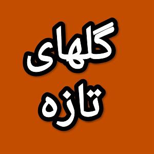 50 برنامه بستنی داغ  الگوی مطلوب گلهای تازه برنامه شماره ۵۰