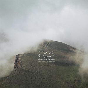 وحشی غریب گلهای وحشی