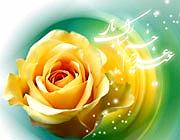 علی عبدالمالکی  یا هیشکی یا تو كعبه گرفت از تو صفا، یا علی