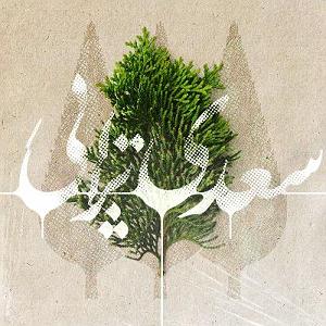 پیاله (55)؛ ای مثل لیلی دلفریب، همدرد مجنونم مکن 47 ای چشم تو دلفریب و جادو ...