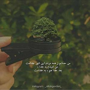 حمید طالب زاده دختر