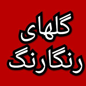 42 برنامه بستنی داغ  ویژگی های مثبت اندیش گلهای رنگارنگ برنامه شماره ۴۲۳