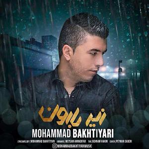 آلبوم زیر بارون زیر بارون