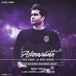 آدرنالین adrenaline(و مهدی مرغان)