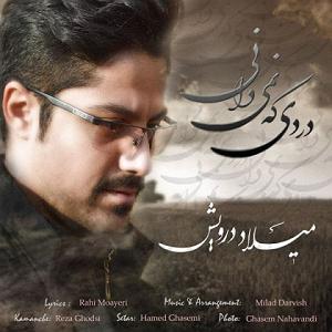 دانلود ریمیکس سوت دار نمیدانی ب خدا چنی سنگین دردی که نمی دانی