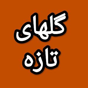 47 برنامه بستنی داغ  پیامد مثبت اندیشی گلهای تازه برنامه شماره ۴۷