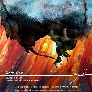 مونولوگ زیبای قفس قفس بس