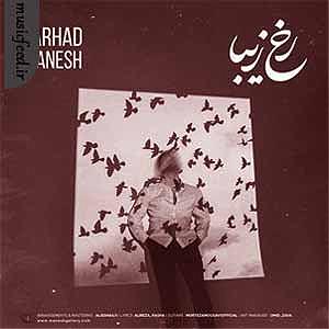 همچو فرهاد رخ زیبا