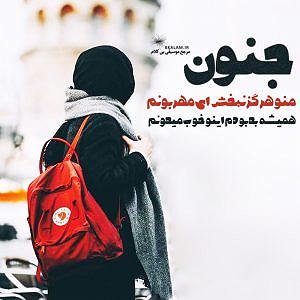 علیرضا قربانی  هوای جنون بی کلام جنون از