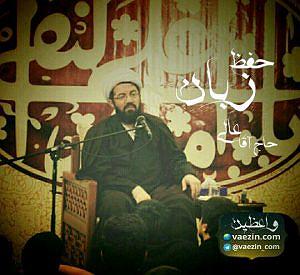 زبان حفظ زبان