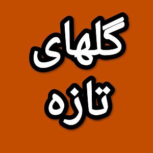 54 برنامه بستنی داغ  آثار توکل گلهای تازه برنامه شماره ۵۴