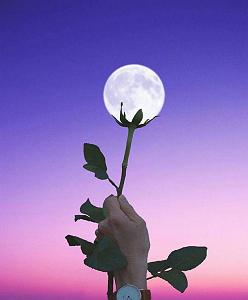    – سر تو فراریم سایه مه با تیر میزنن