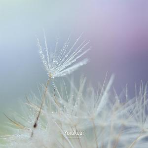 « جایی برای ابدیت » اثری از « مهدی وجدانی » موسیقی امبینت Stillness اثری برای تفکر و مراقبه از Yorokobi