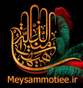 رضا یزدانی - برادر روضه سوزناک برادر در جمع زایرین اربعین- موکب امام رضا