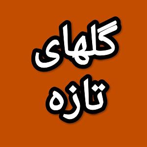 77 برنامه بستنی داغ   احترام در دنیای امروزی  گلهای تازه برنامه شماره ۷۷