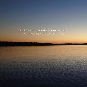 Inception inception : time  orchestra version(live)