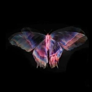 موزیکست شماره 3 : کتاب خوندن خوندن یه قسمت از مورد علاقم✨