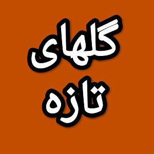 73 برنامه بستنی داغ   معنای احترام  گلهای تازه برنامه شماره ۷۳