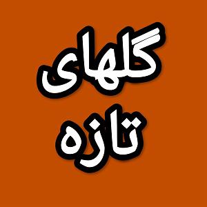 37 برنامه بستنی داغ  خشم ناگهانی گلهای تازه برنامه شماره ۳۷