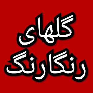 48 برنامه بستنی داغ  زندگی بدون الگو گلهای رنگارنگ برنامه شماره ۴۸۳