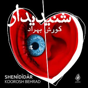 زبان شاعر زبان شکسته (رنگ خاک)