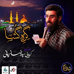 رضا یزدانی  دلتنگی تهران شب های دلتنگی گره گشا سیدرضانریمانی