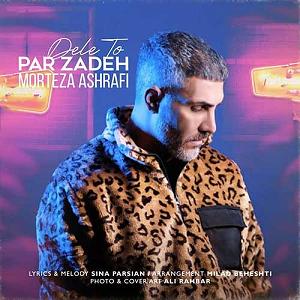 مرتضی اشرفی دل تو پر زده