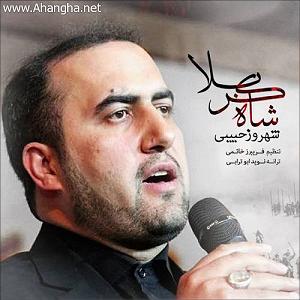 اهنگ جدید سلطه شاه به نام بابایی شه کربلا