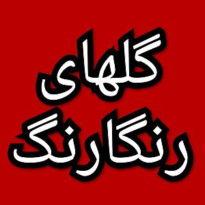 57 برنامه بستنی داغ  توکل در دنیای امروزی گلهای رنگارنگ برنامه شماره ۵۷۴  الف