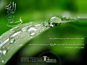 پیاله (45)؛ تنهایی آمد و تو را برد… دل می برد ز پیر و جوان یك نگاه تو