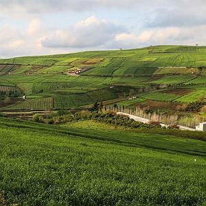 nalehaye sang جعفر دادیان طاهره سنگ سری تی قربون