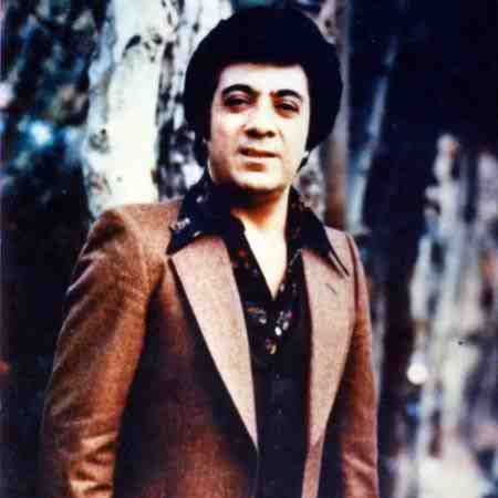 پیاله (45)؛ تنهایی آمد و تو را برد… پس از تو نمونم برای خدا تو مرگ دلم را ببین و برو